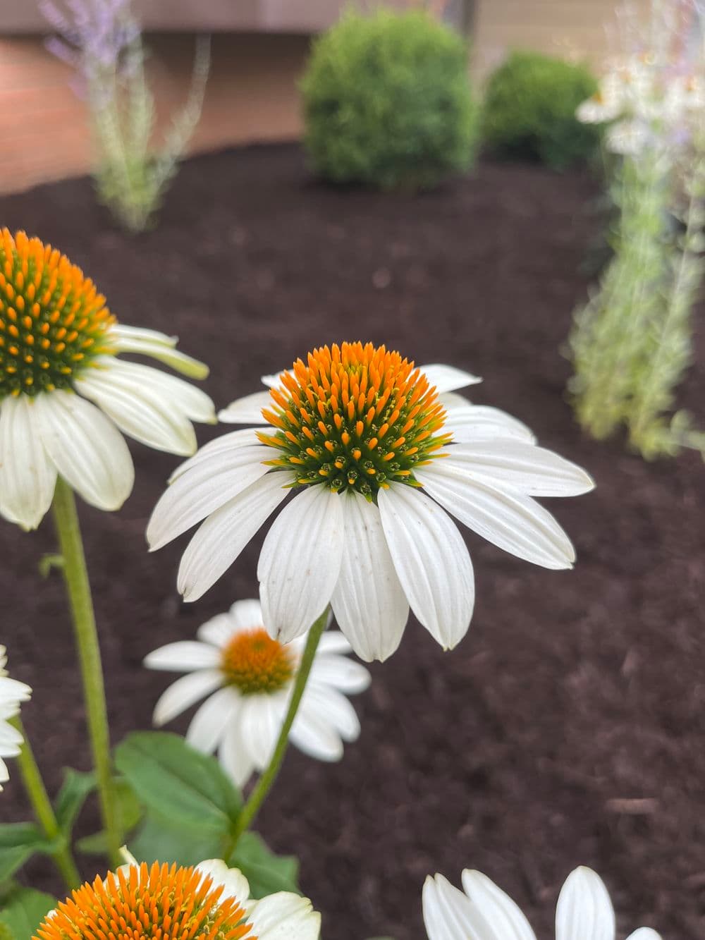 Welcome to Lakeview Landscapes